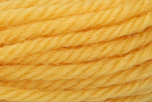 Anchor Tapisserie Wool: 10m: Skein 8018