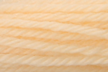 Anchor Tapisserie Wool: 10m: Skein 8034