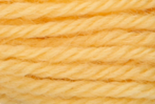 Anchor Tapisserie Wool: 10m: Skein 8038