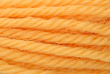 Anchor Tapisserie Wool: 10m: Skein 8058