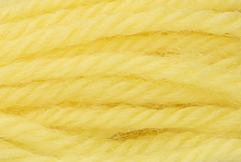 Anchor Tapisserie Wool: 10m: Skein 8092