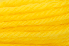 Anchor Tapisserie Wool: 10m: Skein 8094