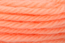 Anchor Tapisserie Wool: 10m: Skein 8304