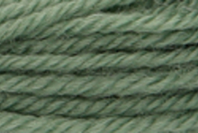 Anchor Tapisserie Wool: 10m: Skein 9076