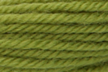 Anchor Tapisserie Wool: 10m: Skein 9166