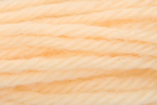 Anchor Tapisserie Wool: 10m: Skein 9502