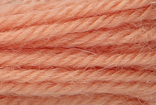 Anchor Tapisserie Wool: 10m: Skein 9508