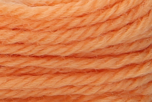 Anchor Tapisserie Wool: 10m: Skein 9554