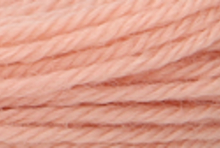 Anchor Tapisserie Wool: 10m: Skein 9594