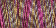 Machine Embroidery Thread Variegated - Cotton No.30: 300m 4045 (Row 25)