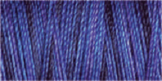 Machine Embroidery Thread Variegated - Cotton No.30: 300m 4055 (Row 25)
