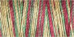 Machine Embroidery Thread Variegated - Cotton No.30: 300m 4112 (Row 25)