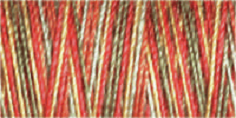 Machine Embroidery Thread Variegated - Cotton No.30: 300m 4121 (Row 24)