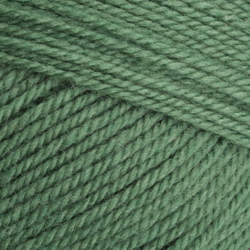 Stylecraft Special  Aran with Wool 400g - 3980 Succulent  (4 in stock 24/2)