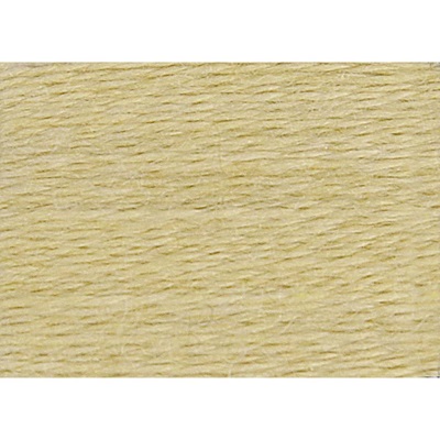 Eco Vita Organic Wool - 201