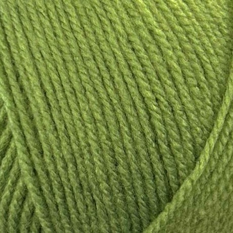 <strong><span style='color: #ff0000;'>NEW COLOUR</span></strong> 2176 Leaf Double Knit 