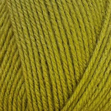 <strong><span style='color: #ff0000;'>NEW COLOUR</span></strong> 2180 Mistletoe Double Knit 