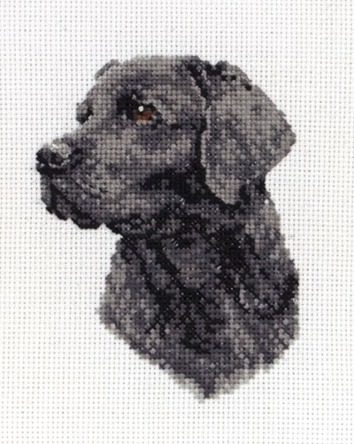 Counted Cross Stitch Kit: Black Labrador - PCE218