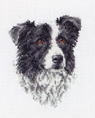 Counted Cross Stitch Kit: Border Collie - PCE219